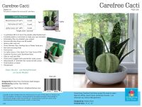 PQD228D - Poor House Quilt Designs - Carefree Cacti - Downloadable